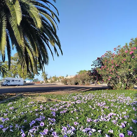 Residencia Carabela 아파트 코스타델실렌시오