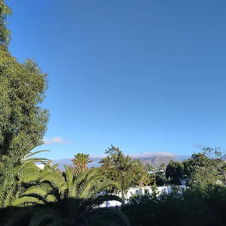 Residencia Carabela アパート *