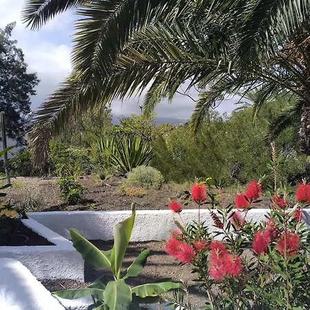 Paradise Hideaway Tenerife Апартаменты Коста-дель-Силенцио