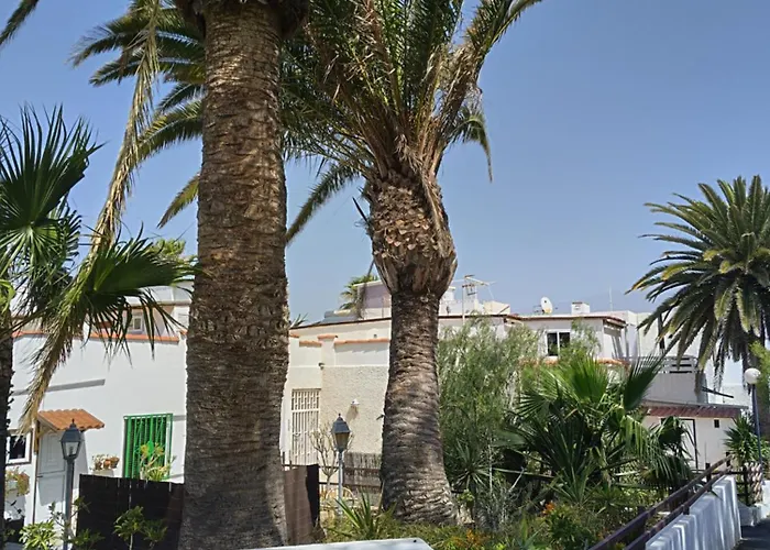 Residencia Carabela Apartment